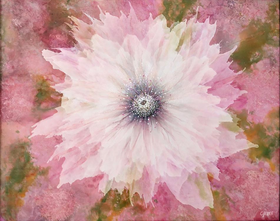 Image of a large, feathery pink flower, with an abstract background of pale pinks and greens 