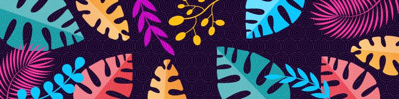 Blue pink and yellow tropical leaves against a black background