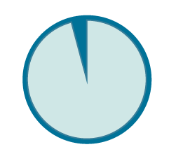 96% budget pie graphic