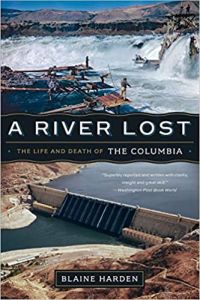 A River Lost cover