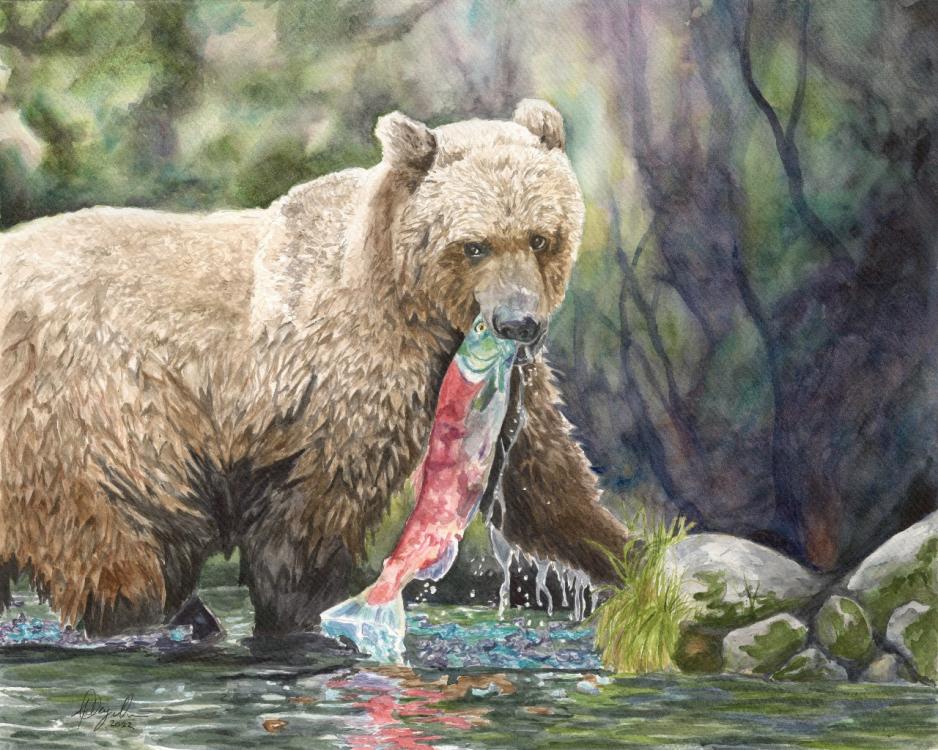 A bear walks through a lake in the forest with a fish in its mouth while gazing soulfully at the viewer.