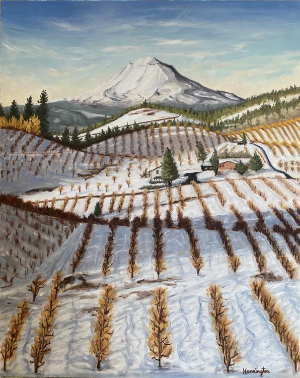 harringtonsue_mtadams.jpeg A snow-covered mountain overlooking a cottage and a snowy field.