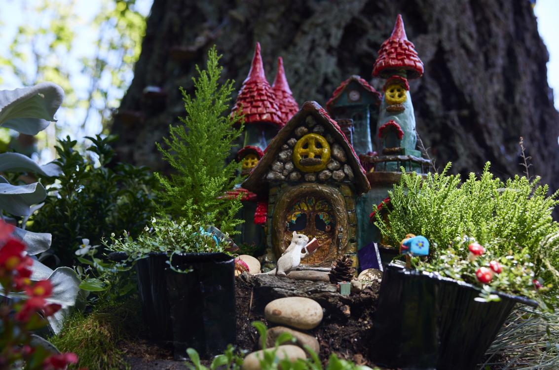 Picture of the fairy garden in the Cascade Park Community Library courtyard 
