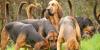 Bloodhounds
